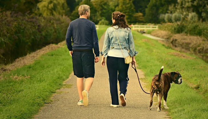 Ходенето е идеално за тези, при които бягането е противопоказано, като хора със затлъстяване трета степен или по-висока или пациенти с мускулно-скелетни нарушения Ходенето е идеално за тези, при които бягането е противопоказано, като хора със затлъстяване трета степен или по-висока или пациенти с мускулно-скелетни нарушения