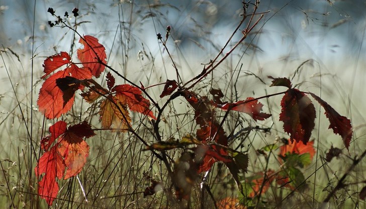 Над планините облачността ще се увеличи Над планините облачността ще се увеличи