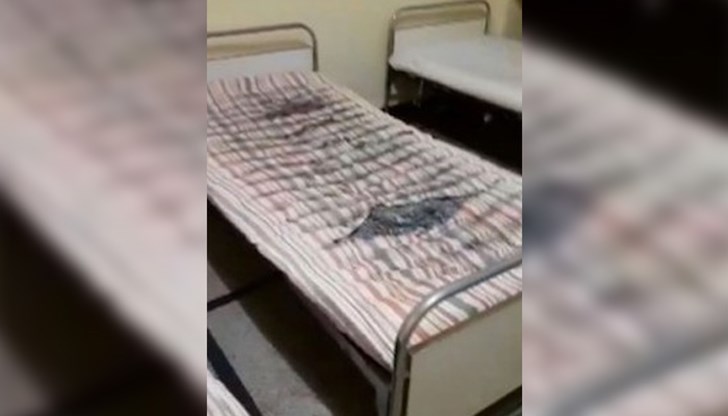 Условията са потресаващи