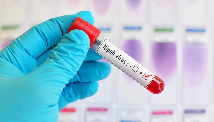 С вируса обикновено се заразяват хора, консумирали плодове, върху които има слюнка от болно животно