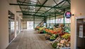 Нов пазар отвори врати в  „Здравец Изток“