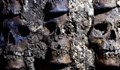Археолози откриха стена от 119 човешки черепа в Мексико