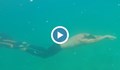 Датчанин преплува 202 метра под вода с едно поемане на въздух