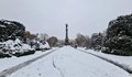 Най-голяма снежна покривка натрупа в Русе