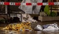 Расте броят на жертвите на атаката в Трир, сред тях е и бебе