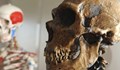 Откритие в България помири неандерталците и хомо сапиенс