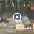 Жена се хвърли с риск за живота в океана, за да спаси два кега с бира
