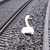 Опечален лебед спря железопътния трафик в Централна Германия Опечален лебед спря железопътния трафик в Централна Германия