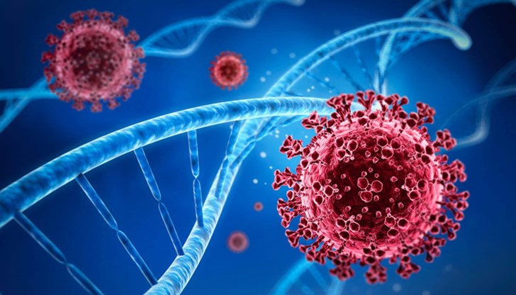 Според британски експерти ваксините вероятно ще могат да се справят с новия щам на коронавируса Според британски експерти ваксините вероятно ще могат да се справят с новия щам на коронавируса