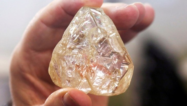 Те са донесли мъка на собствениците си Те са донесли мъка на собствениците си