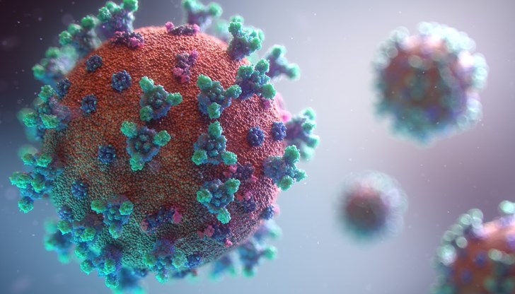 Четирима мъже и девет жени загубиха битката с коронавируса