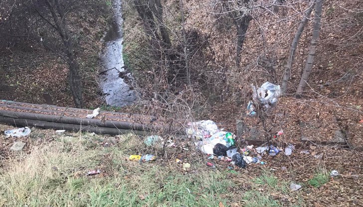 Боклукът не съществува, той е измислен от западните кукловоди, за да ни контролират...