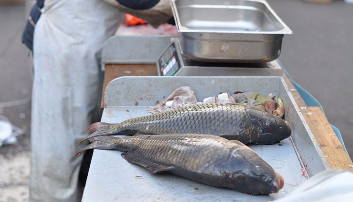 Има ли нарушения сред търговците на риба в крайдунавския град
