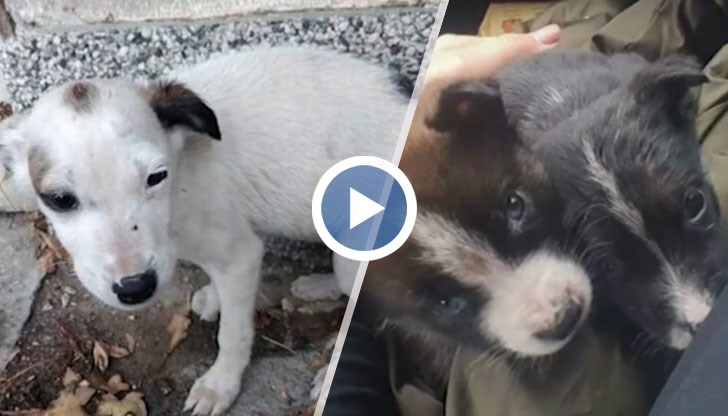 Съседи се оплакват от лоша миризма и шум