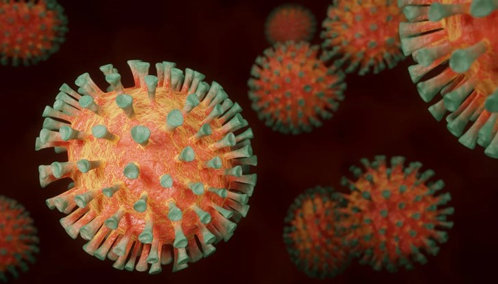 "В човешкия организъм природата е заложила невероятни защитни механизми, които се активират безпогрешно, когато има инвазия на патогени. Когато е стабилна имунната система, носители на вируса не заболяват", твърди лекарят "В човешкия организъм природата е заложила невероятни защитни механизми, които се активират безпогрешно, когато има инвазия на патогени. Когато е стабилна имунната система, носители на вируса не заболяват", твърди лекарят