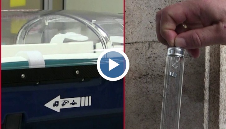 Неонатологията получи като подарък от "Българската коледа" и дигитална система за транскутанен кръвно-газов мониторинг