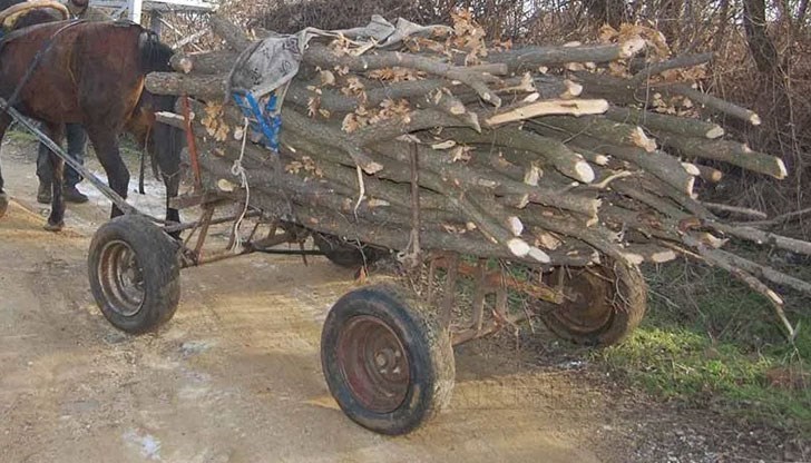 В двора на двама жители на селото са открити незаконни добити кубици дървесина от ясен