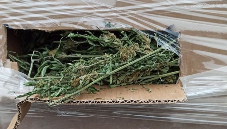 В документите за стоката пишело, че е коноп за влакна