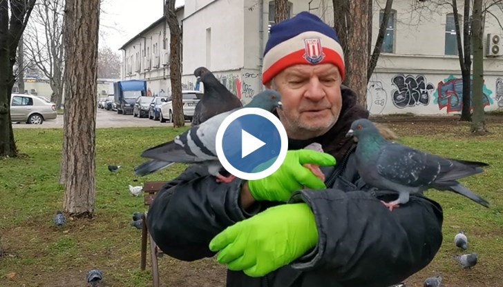 Професор Ненов всеки ден храни птиците по улица "Александровска"