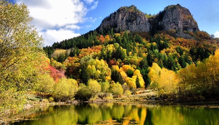 Като следствие от замърсяването на околната среда населението на планинските райони все по-често се сблъсква със суша, глад, увеличаване на случаите на свлачища, наводнения и други стихийни бедствия Като следствие от замърсяването на околната среда населението на планинските райони все по-често се сблъсква със суша, глад, увеличаване на случаите на свлачища, наводнения и други стихийни бедствия