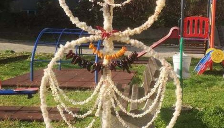 Сурвачката погълна близо чувал с вълна и няколко десетки метра прежда Сурвачката погълна близо чувал с вълна и няколко десетки метра прежда