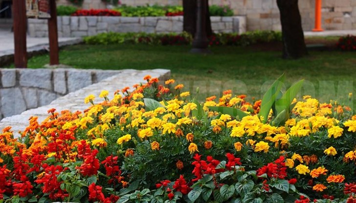 Желаещите да кандидатстват за финансиране трябва да попълнят документи и да ги входират в Информационния център на Община Русе