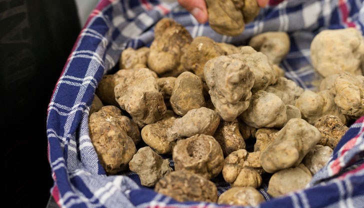 Експортът възлиза на 9,5 млн. евро