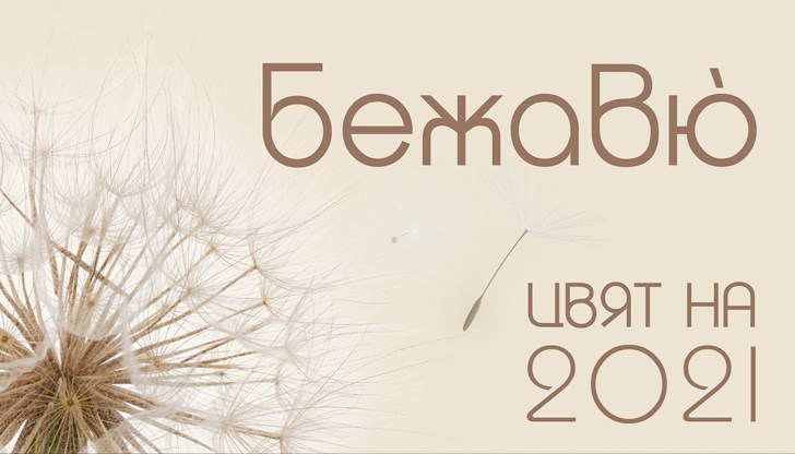 Той бе избран въз основа на прогнозите и очакванията на изявени интериорни дизайнери, архитекти, производители на подови настилки, платове и дамаски, художници, колористи, блогъри и артисти за съвременно градско изкуство за водещите тенденции в дизайна и архитектурата