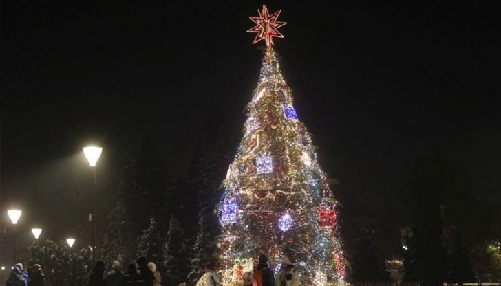 Коледната елха грейна в 19 часа