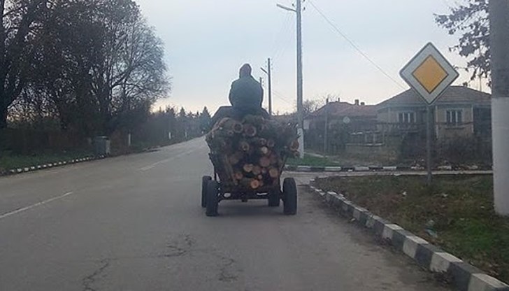 Полицаи са установили превоз на незаконна дървесина
