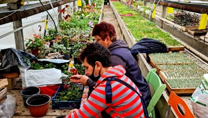 Пенчо Милков: Красотата се отглежда месеци наред, преди да я видим в парковете на града