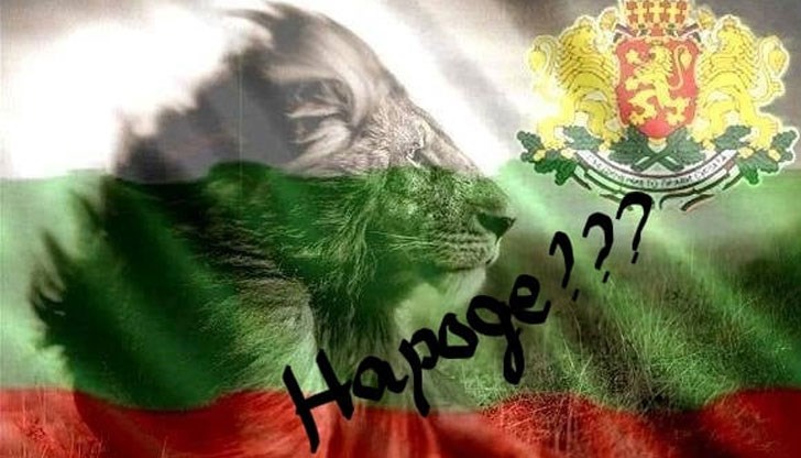 Неадекватността на правителството направо изби рибата днес