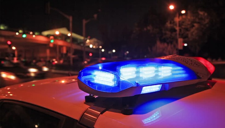 Мъж е твърдял, че е стреляно срещу стадо животни Мъж е твърдял, че е стреляно срещу стадо животни