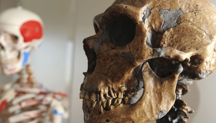 Новите находки показват, че новодошлите не са пристигнали в Европа като завоеватели. Те са донесли със себе си нови оръжия и инструменти, но са живеели в същите пещери като неандерталците, създавали са семейства с тях и са отглеждали деца заедно