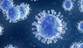Щам или мутация? Какво знаем за новия вариант на коронавируса