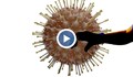 Идва нов пик на кризата с коронавируса