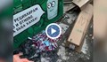 Изхвърлиха епруветки с кръв до детска градина във Варна