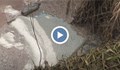 Поредно замърсяване на река Русенски Лом въпреки санкциите