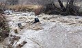 Водите на река в Благоевградско повлякоха джип заедно с шофьора