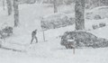 Снежна буря удари южните щати на САЩ