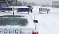 АПИ предупредиха шофьорите да не пътуват в Североизточна България
