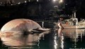 Кит 70 тона изплува край Италия