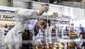 Израелски учени откриха „ахилесовата пета“ на раковите клетки
