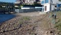 Групово скубане на трева на плажа в Росенец започва днес