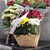 В Русе поднесоха цветя за жертвите на Холокоста