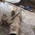 Разкриха незаконен водопровод в Хасково