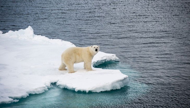 Микроскопични частици пластмаса се откриват дори в най-отдалечените и привидно непокътнати краища на планетата