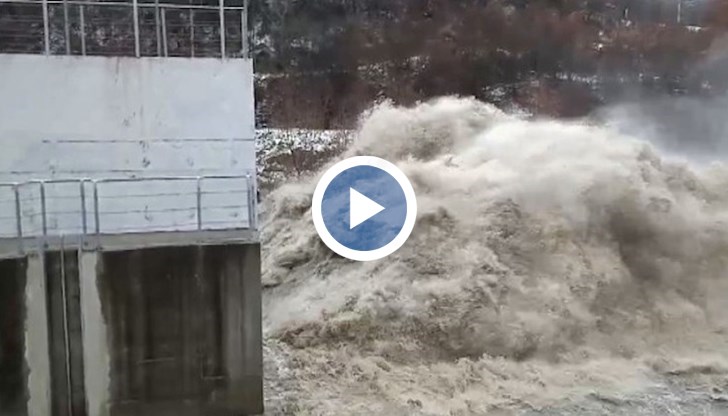 Река Искър подмята 20-метрова топола като клечка от кибрит