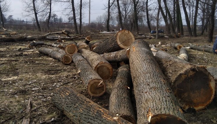 ВМРО предлага кметовете да разрешават сеч в гори, които на карта се водят земеделски земи