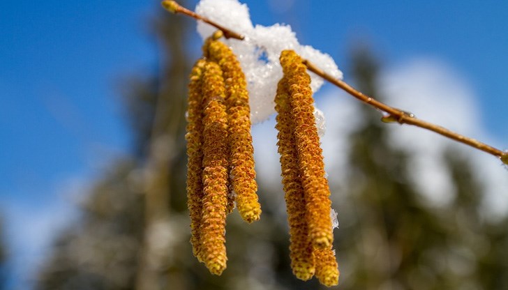 От вторник нататък следват няколко сухи дни с температури до 15 градуса От вторник нататък следват няколко сухи дни с температури до 15 градуса